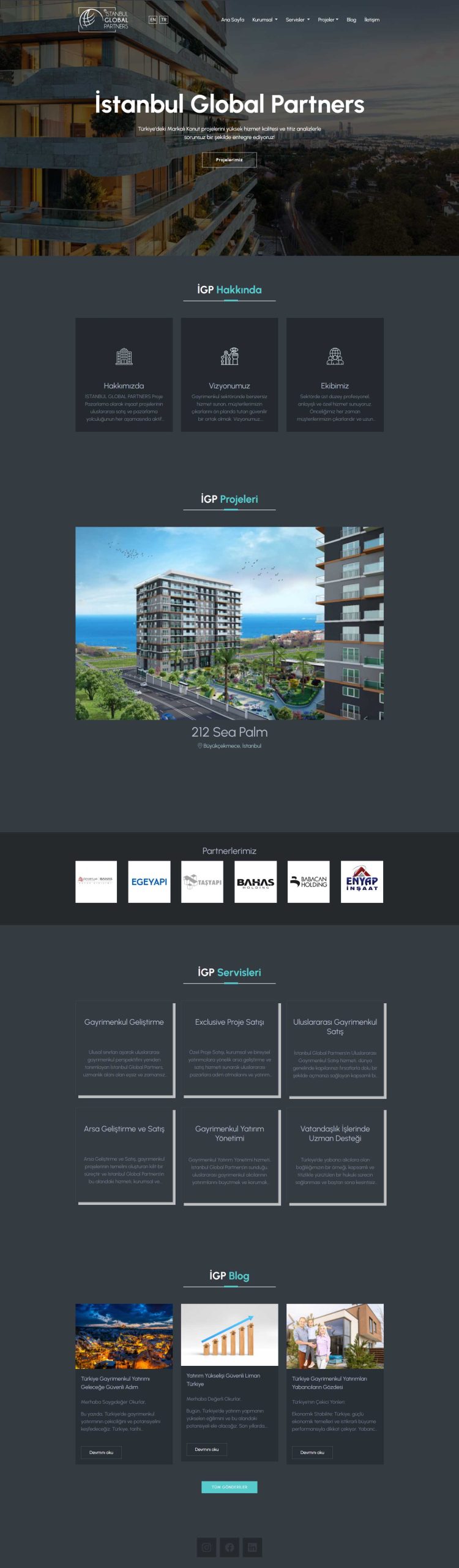 IGP Investment, Web Tasarım