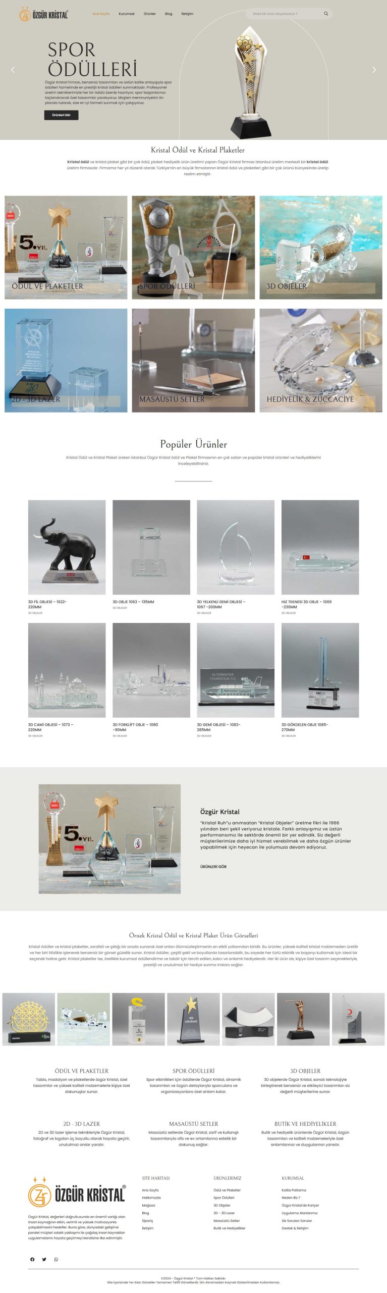 Özgür Kristal, Web Tasarım