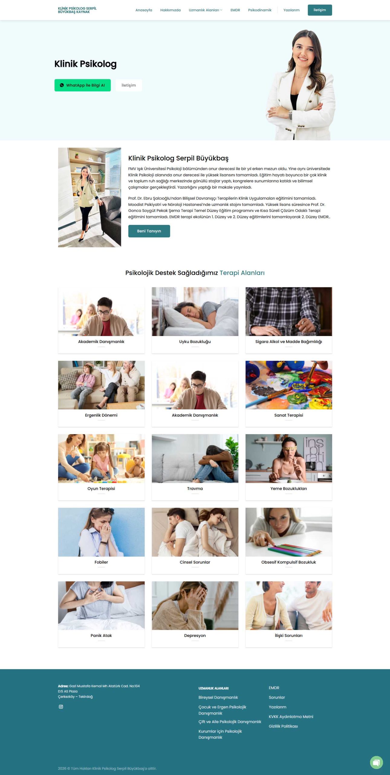 Serpil Büyükbaş, Web Tasarım